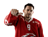 Lhc Lausannehc Sticker by Lausanne Hockey Club
