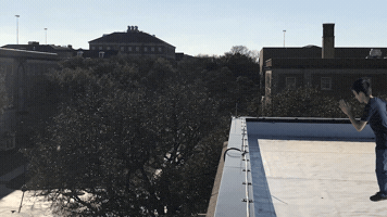 College Student Falling GIF by ODE Willie's Funky Bunch