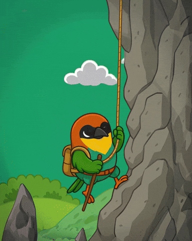 kapikayafest giphyupload bafra kuş kapıkaya GIF