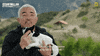 Cesar Millan Dog GIF by National Geographic Channel