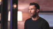 adam levine omg GIF by The Voice