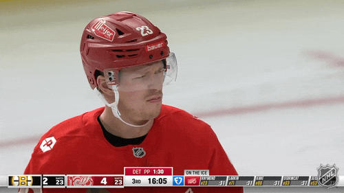 Happy Funny Face GIF by NHL