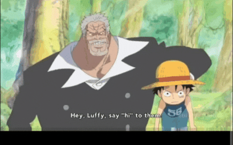 Onepiece GIF