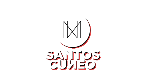 cuneo leioleio Sticker by Leio