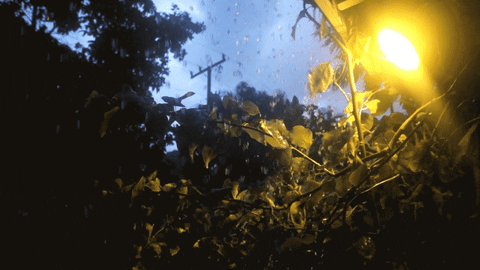 Rain GIF by alecjerome