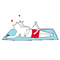 RIPNDIP_CAT cat mood nice night Sticker