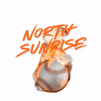 Nsll GIF by North Sunrise Little League