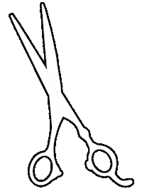 salongemini salongemini Sticker