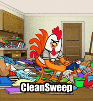 Organization Homecleaning GIF by Zorooster