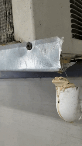 wow GIF by JustViral.Net