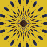 Loop Orange GIF by xponentialdesign