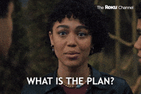 What is the plan?