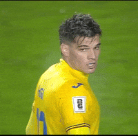 Romania Patriot GIF