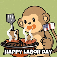 Labor Day Usa GIF by Wise Monkey Meme