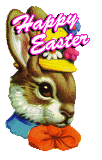 Animation Bunny Sticker by PES