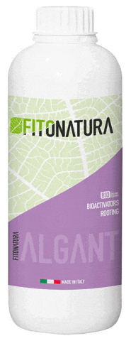 Biostimulant GIF by pasaddak.agro