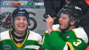 San Jose Sharks Hockey GIF by London Knights