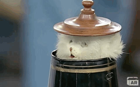 Surprised Pop Up GIF by ANTIQUES ROADSHOW | PBS