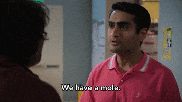 Pied Piper Hbo GIF by Silicon Valley