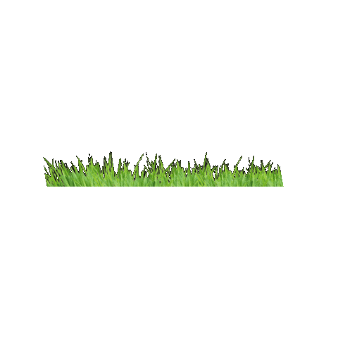 outsidepride giphygifmaker nature garden grass Sticker