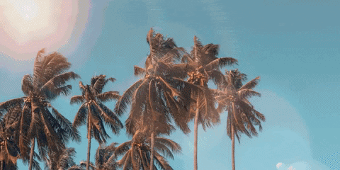 GemBoxAccessories giphygifmaker giphyattribution GIF