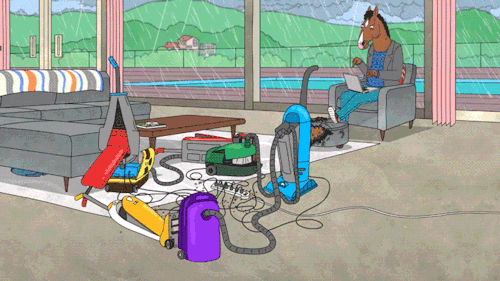 bojack horseman GIF by NETFLIX