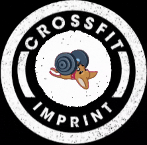 GIF by Crossfit Imprint