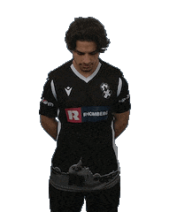 Happy Football Sticker by Schwarz-Weiss Bregenz