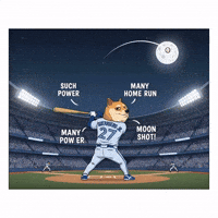 Hitting To The Moon GIF by Doge Pound