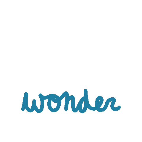 Shawn Mendes Wonder Sticker