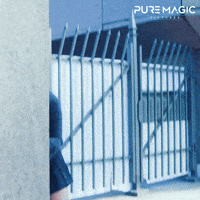 Sneaking Look Around GIF by PureMagicPictures