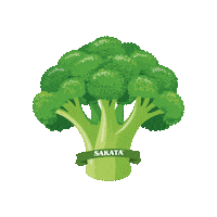 sakatamexico sakata sakatamexico sakataméxico Sticker