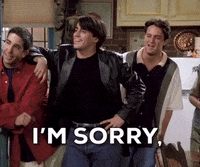 season 1 friends GIF