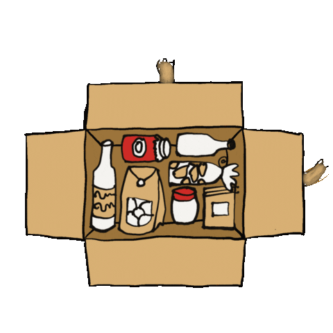 Wiir-Viier giphyupload box unboxing paket Sticker