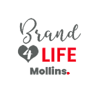 Studio Sticker by Mollins  |  Estrategia & Branding