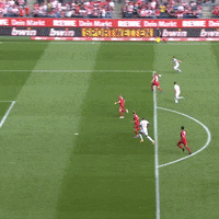 1 Fc Cologne Football GIF by 1. FC Köln
