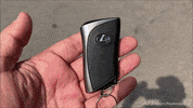 Lets Go Wow GIF by Namaste Car