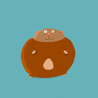 Happy Animation GIF