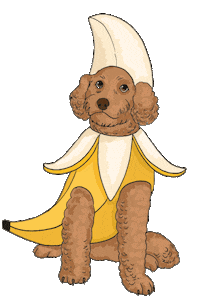 KarenMabon banana cavapoo cockapoo dog costume Sticker