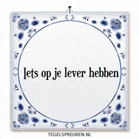Spreuk Reflectie GIF by Tegelspreuken.nl