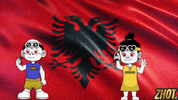 Albanian Flag GIF by Zhotcita