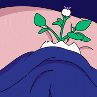 Tired Good Morning GIF by Magic Eden