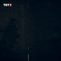 War Hello GIF by TRT