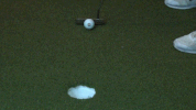 cnwg18 GIF by Carson-Newman Athletics