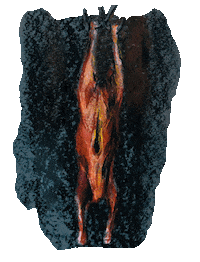 Food Meat Sticker