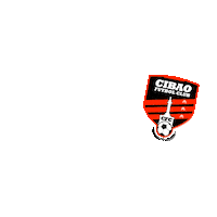 soccer futbol Sticker