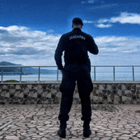 Law Enforcement Turkey GIF
