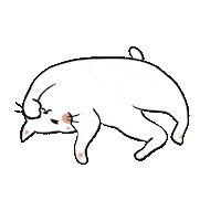 Cat 睡 Sticker