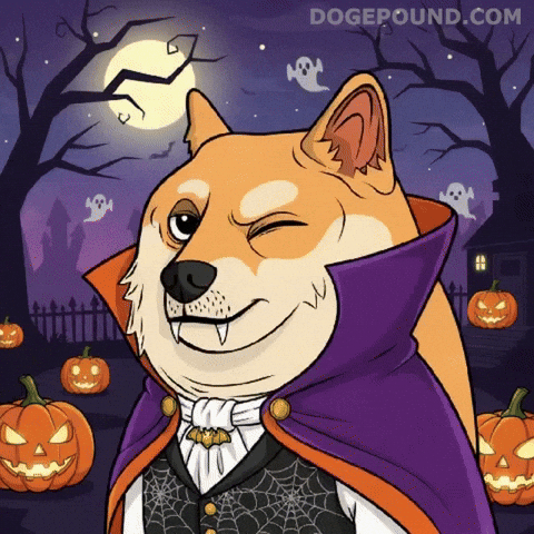 Jack O Lantern Dog GIF by Doge Pound