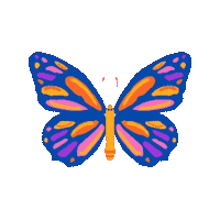 elistorycriativo butterfly borboletas elistorycriativo borboleta Sticker